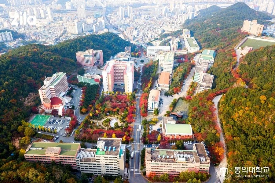 dai-hoc-dong-eui